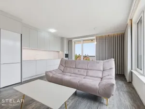 Pronájem bytu 2+kk, Ostrava - Moravská Ostrava, F. X. Riepla, 54 m2