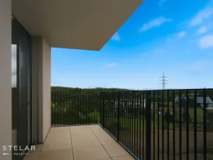 Pronájem bytu 2+kk, Ostrava - Moravská Ostrava, F. X. Riepla, 54 m2