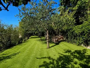 Prodej rodinného domu, Mladá Boleslav - Mladá Boleslav III, Ve Skalici, 78 m2