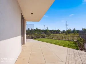 Pronájem bytu 2+kk, Ostrava - Moravská Ostrava, F. X. Riepla, 54 m2