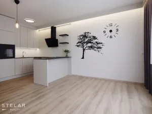 Pronájem bytu 2+kk, Ostrava - Moravská Ostrava, Důlní, 51 m2