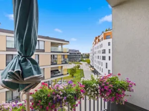 Pronájem bytu 2+kk, Ostrava - Moravská Ostrava, Důlní, 51 m2