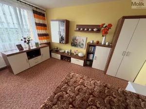 Prodej bytu 1+1, Chomutov, Jirkovská, 36 m2