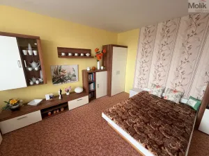 Prodej bytu 1+1, Chomutov, Jirkovská, 36 m2