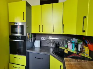 Prodej bytu 3+1, Opava - Předměstí, Joy Adamsonové, 118 m2