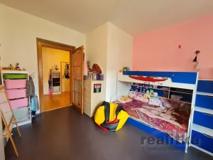 Prodej bytu 3+1, Opava - Předměstí, Joy Adamsonové, 118 m2