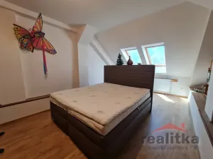 Prodej bytu 3+1, Opava - Předměstí, Joy Adamsonové, 118 m2