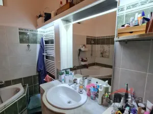 Prodej bytu 3+1, Opava - Předměstí, Joy Adamsonové, 118 m2