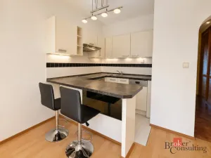 Prodej bytu 2+kk, Liberec - Liberec XXV-Vesec, Holubova, 43 m2