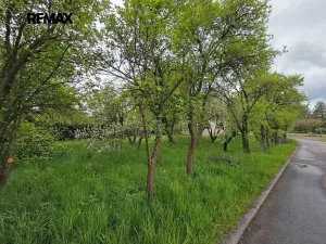 Prodej rodinného domu, Slatina, 215 m2
