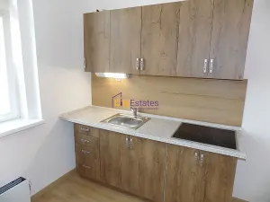 Pronájem bytu 1+1, Praha - Žižkov, Vlkova, 35 m2