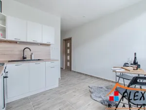 Pronájem bytu 1+1, Frýdek-Místek - Frýdek, K Hájku, 36 m2