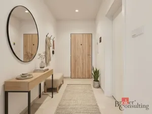 Prodej bytu 1+kk, Plzeň - Jižní Předměstí, Železná, 37 m2
