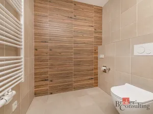 Prodej bytu 1+kk, Plzeň - Jižní Předměstí, Železná, 37 m2