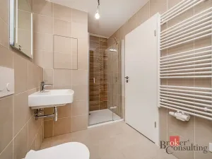 Prodej bytu 1+kk, Plzeň - Jižní Předměstí, Železná, 37 m2