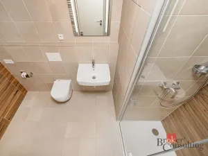 Prodej bytu 1+kk, Plzeň - Jižní Předměstí, Železná, 37 m2