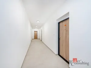Prodej bytu 1+kk, Plzeň - Jižní Předměstí, Železná, 37 m2