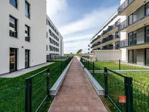 Prodej bytu 1+kk, Plzeň - Jižní Předměstí, Železná, 37 m2