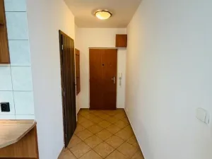 Pronájem bytu 1+1, Kyjov, Sídliště U Vodojemu, 31 m2