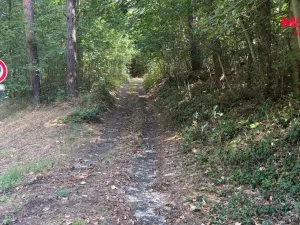 Prodej pole, Úštěk, 8460 m2