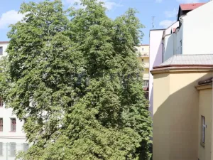 Pronájem bytu 3+1, Praha, Rumunská, 118 m2
