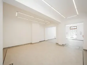 Pronájem obchodního prostoru, Praha - Nové Město, Petrská, 96 m2