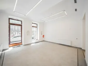 Pronájem obchodního prostoru, Praha - Nové Město, Petrská, 96 m2