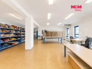 Prodej obchodního prostoru, Letohrad, Petříkov, 1200 m2