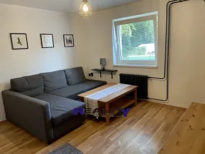 Pronájem bytu 1+1, Podbořany, Velká osada, 37 m2