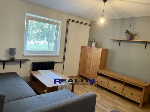 Pronájem bytu 1+1, Podbořany, Velká osada, 37 m2