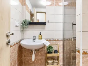 Prodej bytu 1+kk, Kubova Huť, 26 m2