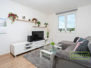 Prodej bytu 2+kk, Příbram, Pod Čertovým pahorkem, 53 m2