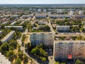 Prodej bytu 3+1, Hradec Králové - Slezské Předměstí, Severní, 53 m2