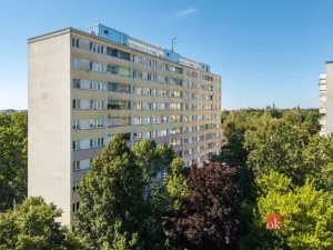 Prodej bytu 3+1, Hradec Králové - Slezské Předměstí, Severní, 53 m2