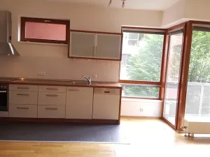 Pronájem bytu 2+kk, Praha - Podolí, Nedvědovo náměstí, 51 m2