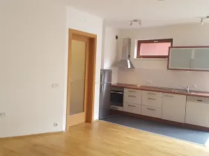 Pronájem bytu 2+kk, Praha - Podolí, Nedvědovo náměstí, 51 m2