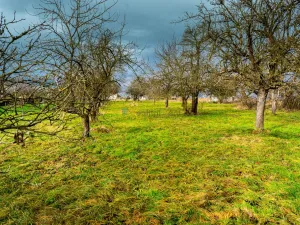 Prodej pozemku pro bydlení, Stádlec, 1515 m2