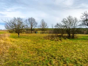 Prodej pozemku pro bydlení, Stádlec, 1515 m2