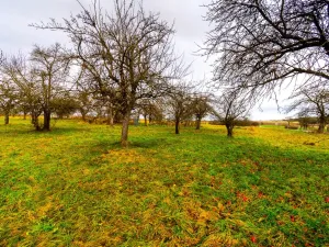 Prodej pozemku pro bydlení, Stádlec, 1515 m2