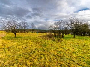 Prodej pozemku pro bydlení, Stádlec, 1515 m2