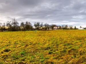 Prodej pozemku pro bydlení, Stádlec, 1515 m2