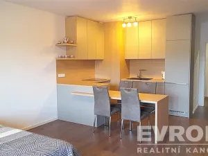 Pronájem bytu 1+kk, Praha, Spojovací, 49 m2