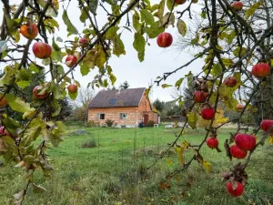 Prodej rodinného domu, Soběšín - Otryby, 90 m2