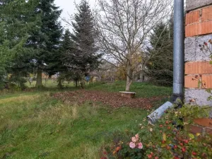 Prodej rodinného domu, Soběšín - Otryby, 90 m2