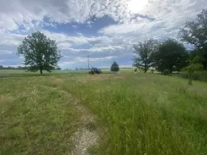 Dražba pole, Kamenný Újezd, 595 m2