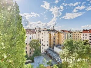 Prodej bytu 3+kk, Praha - Nové Město, Lublaňská, 122 m2