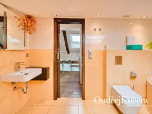 Prodej bytu 3+kk, Praha - Nové Město, Lublaňská, 122 m2