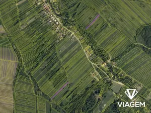 Prodej podílu pole, Javorník, 2507 m2
