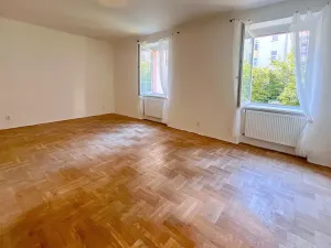 Pronájem bytu 1+1, Brno, Gorkého, 45 m2