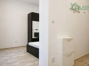 Pronájem bytu 1+1, Brno, Koliště, 30 m2